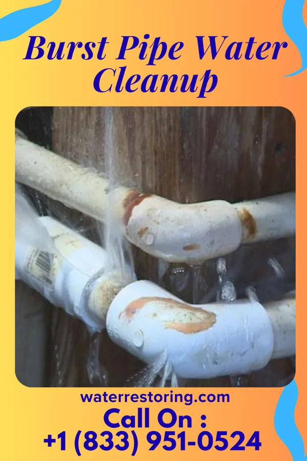 Burst Pipe Water Cleanup in Harlingen, NJ