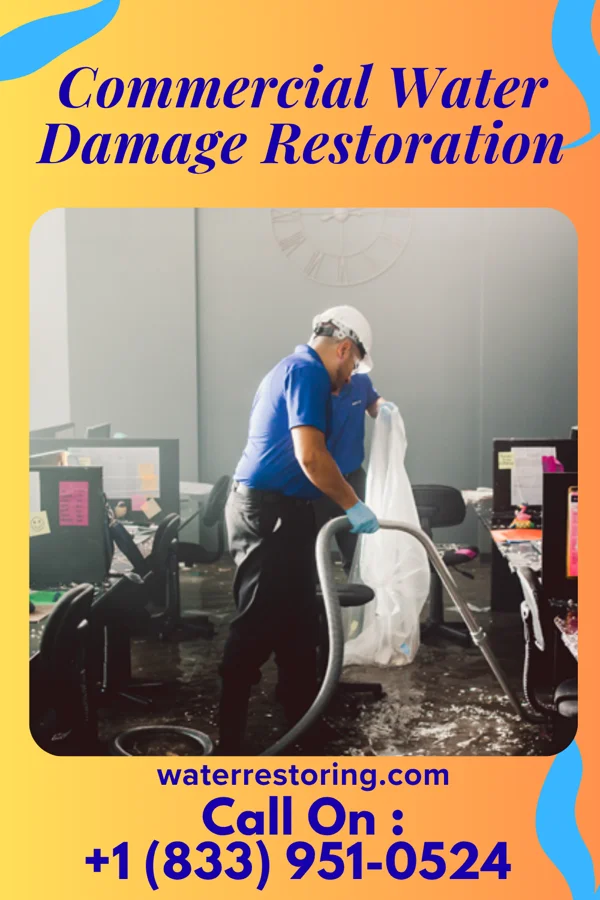 Commercial Water Damage Restoration in Harlingen, NJ