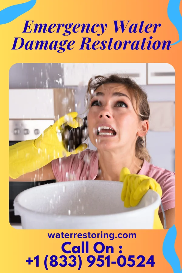 Emergency Water Damage Restoration in Harlingen, NJ