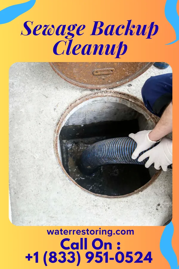 Sewage Backup Cleanup in Harlingen, NJ
