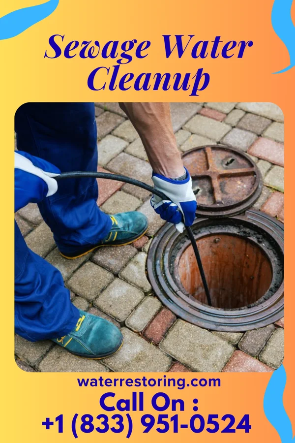 Sewage Water Cleanup in Harlingen, NJ